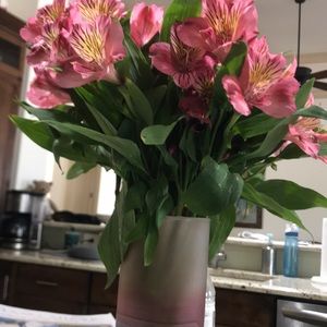 Meet your Posher, Elaine